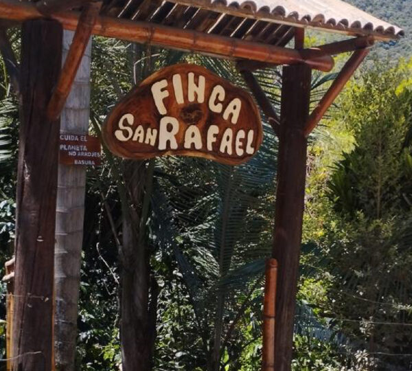 Ruta del Café
