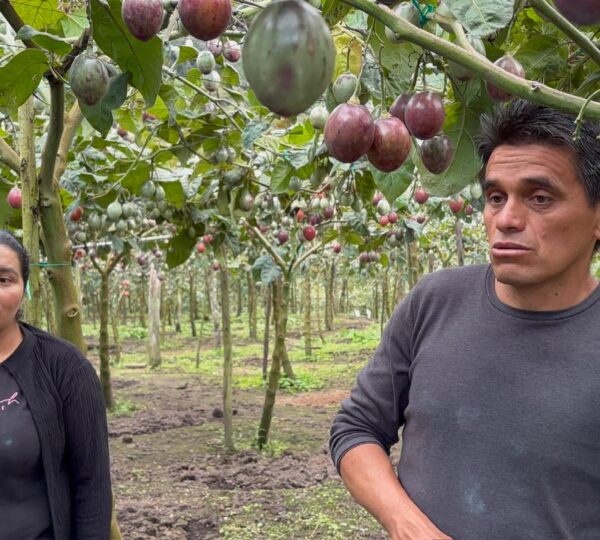Finca Cuellaje