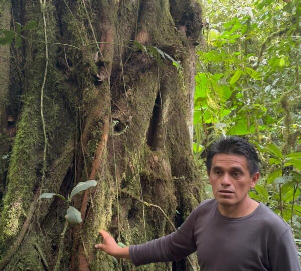 Finca Cuellaje
