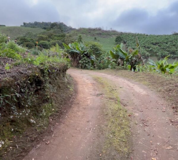 Finca Cuellaje