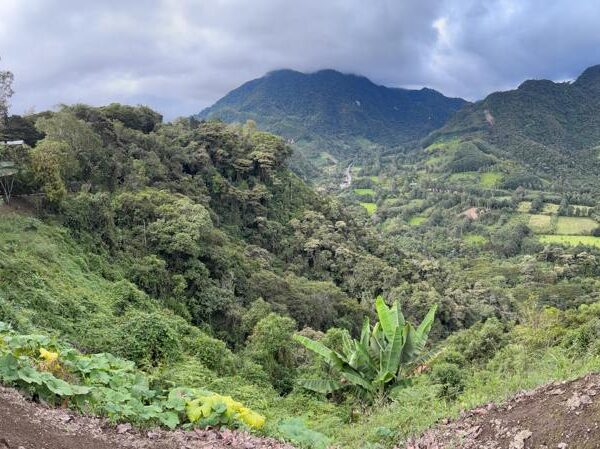Valle Verde