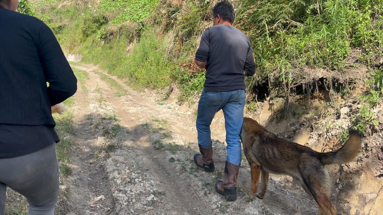 Senderismo Refugio Guayacan Andino