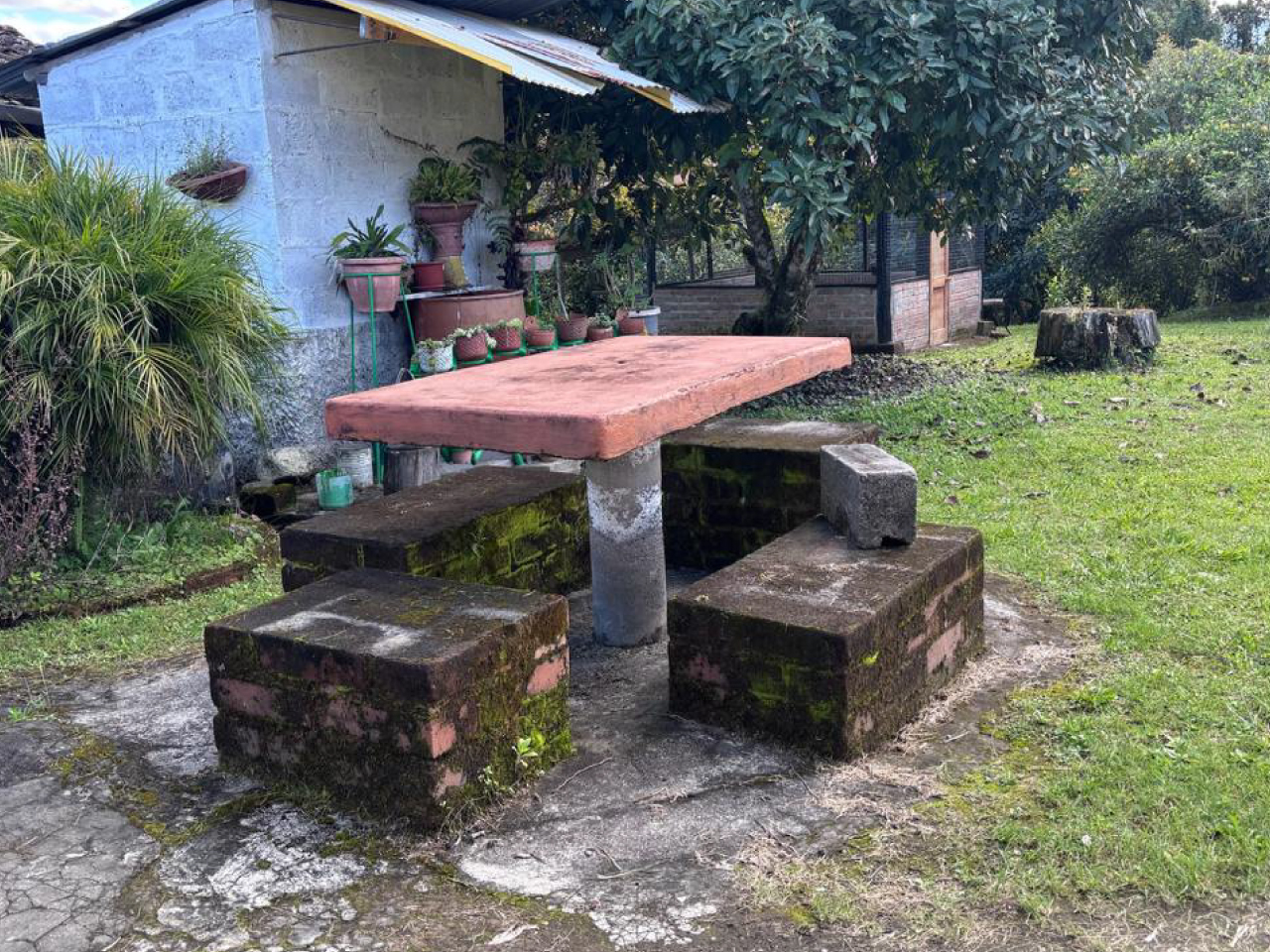 Campo Colibri